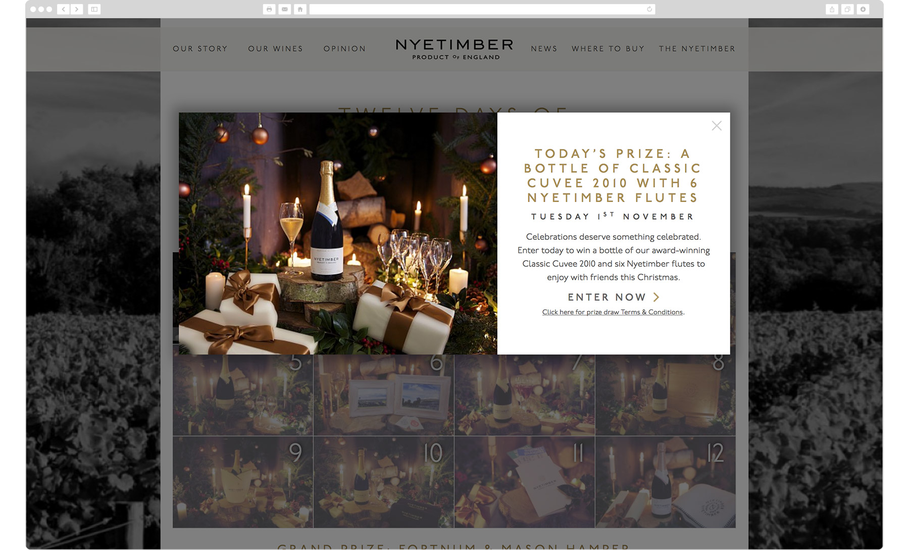 Nyetimber Wines