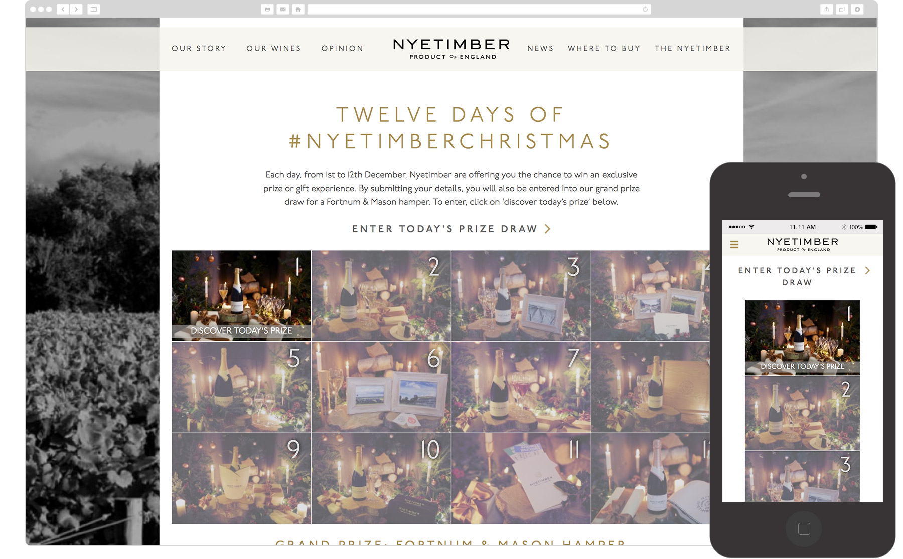 Nyetimber Wines