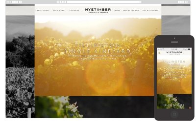 Nyetimber Wines